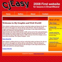 Website Test 2008